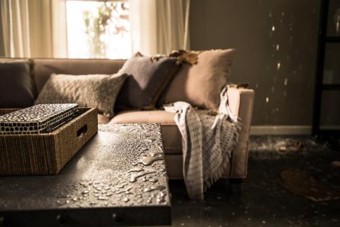 Furniture Medic Disaster Restoration