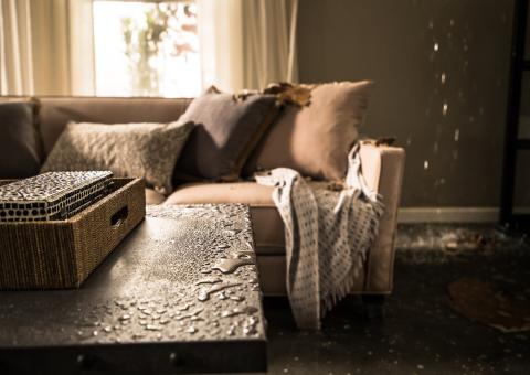 Furniture Medic Disaster Restoration