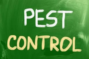 Pest Control and Commercial Property Maintenance
